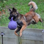 Jumping with ball