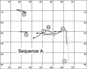  In Sequence A, I pushed the dog to the back side of #2, serpentine to pull the dog over #2, then I kept the dog on my right hand and ran through the gap between #2 and #3, and then put in a front cross which enabled me to perform the next turn through #5 easily.    